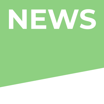 New – Rendl Light Studio