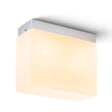 ARANA ANGULAR