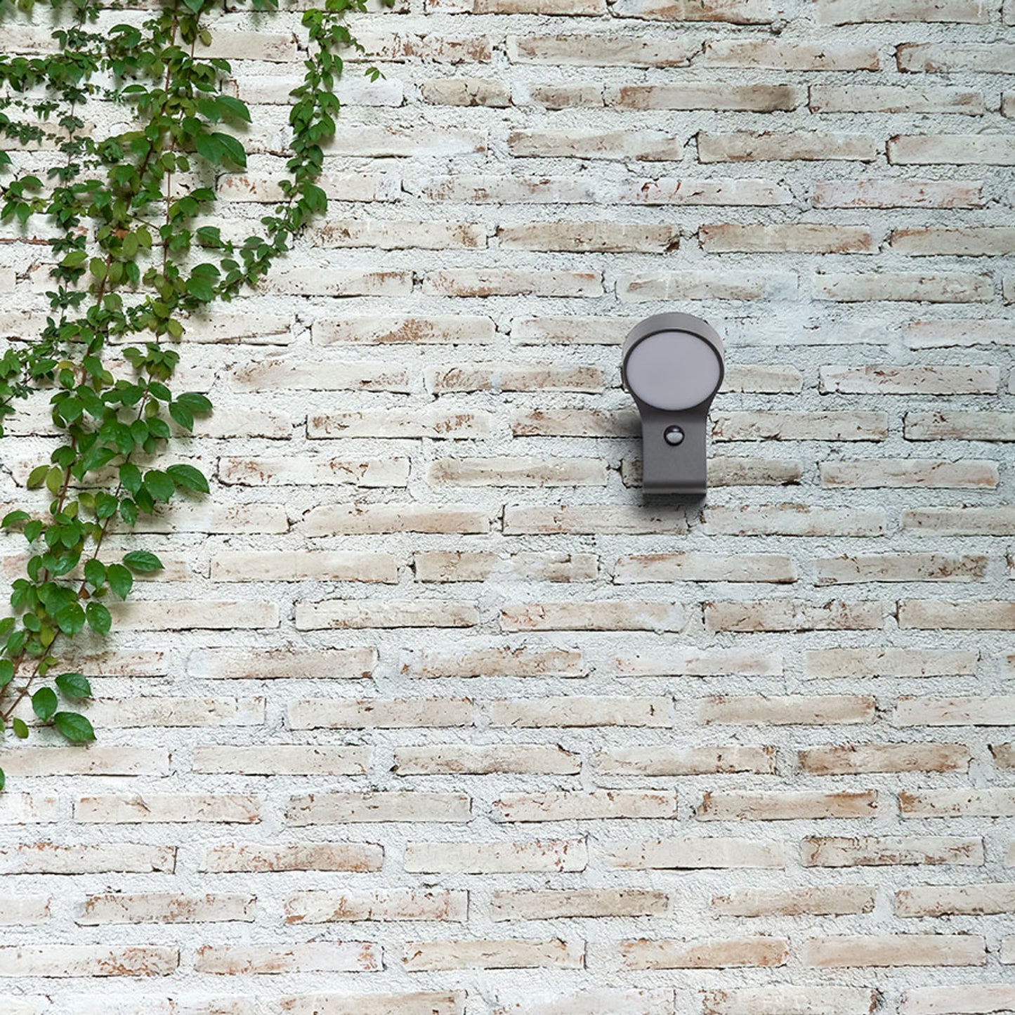 RENDL outdoor lamp ELIA PIR wall anthracite grey  230V LED 9W IP44  3000K R13931 2